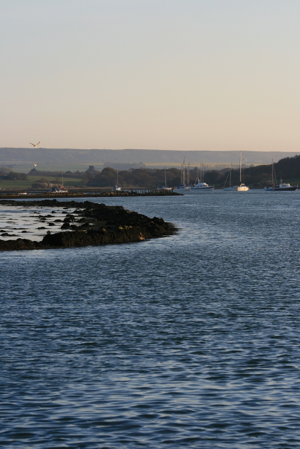 Evening in Newtown Creek