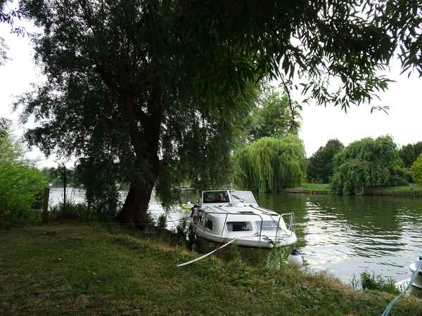 P09 Wallingford under tree