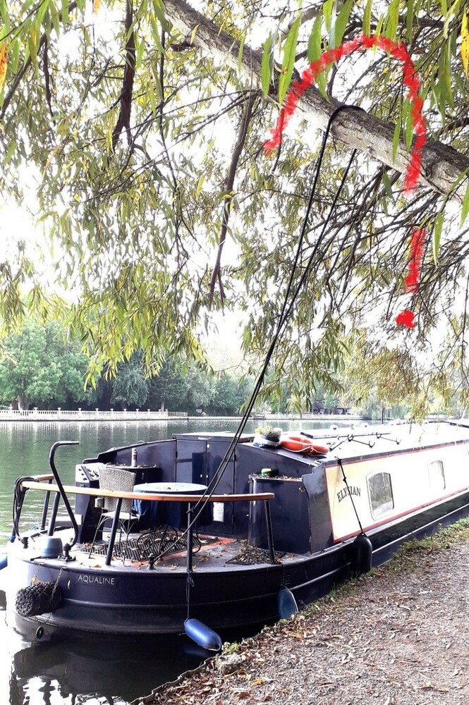 David Horn - TiedUpToAnOverheadTree