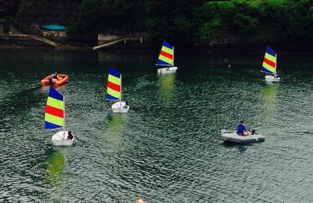 Derek Youell - Parade of Boats, River Yealm, 2016