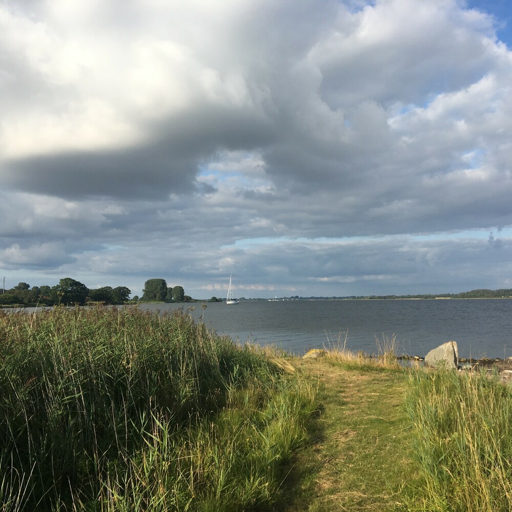 Erik Vischer - Boatscape