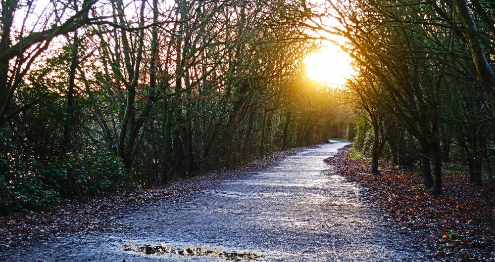 Ray Bridges - LongMorningWalks